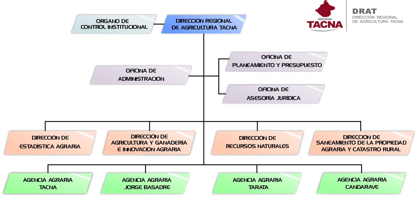 Organigrama Estructural DRAT