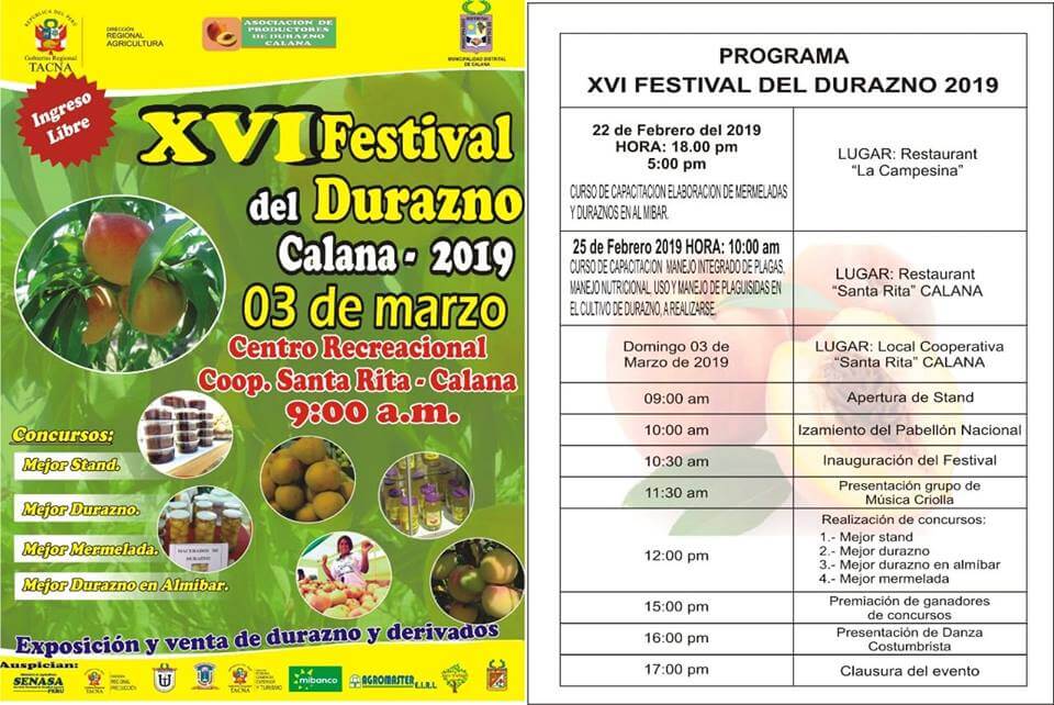 XVI FESTIVAL DEL DURAZNO CALANA 2019