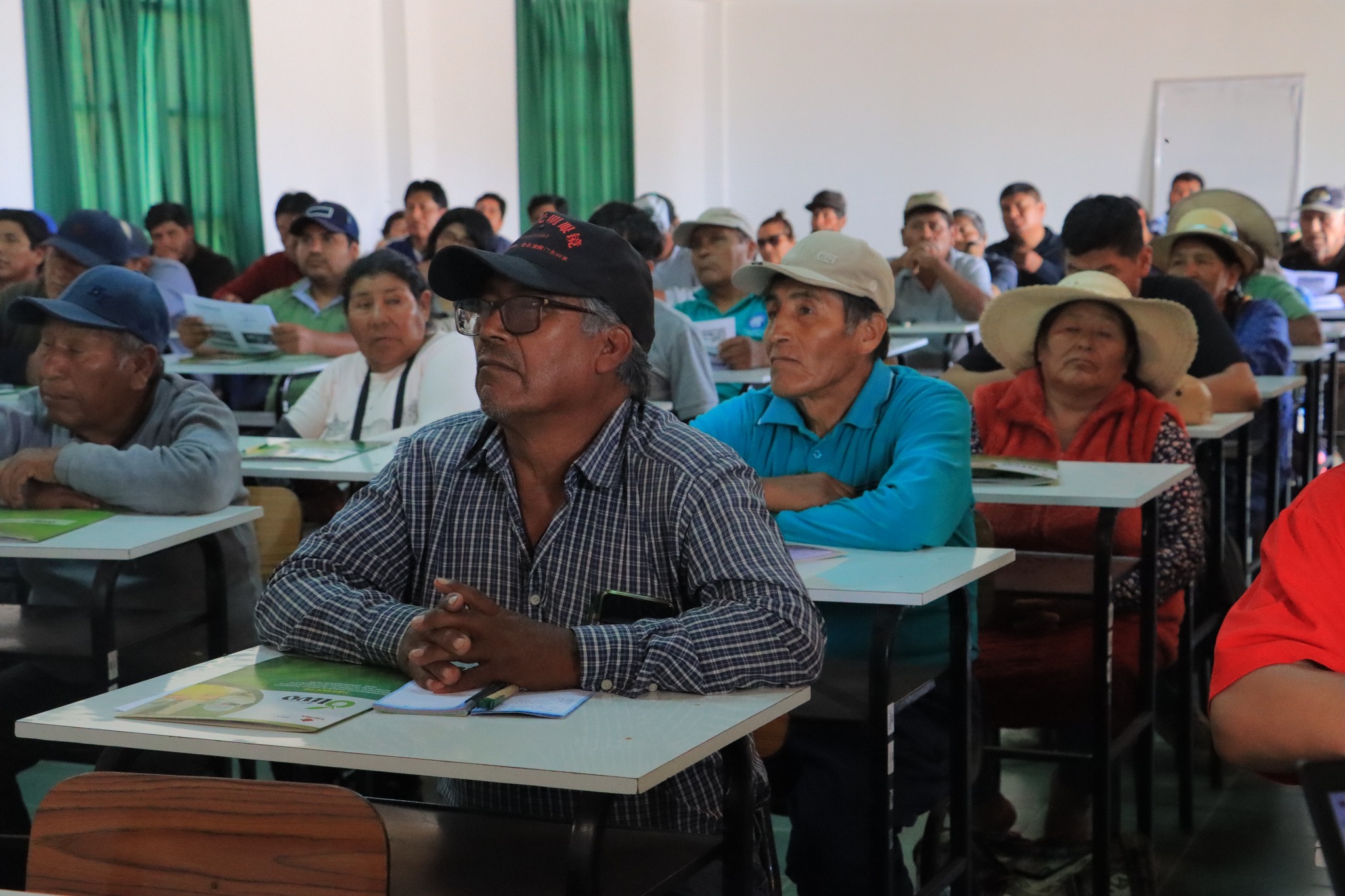 Capacitación del Servicio de Apoyo al Desarrollo Productivo de la Cadena de Cultivo del Olivo en la Región Tacna en las 4 Provincias de Tacna