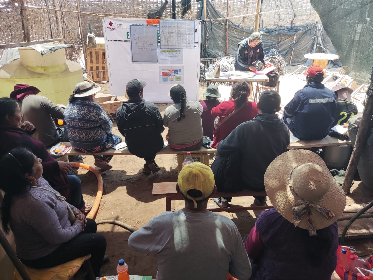 Productores de olivo fortalecen capacidades en escuelas de campo